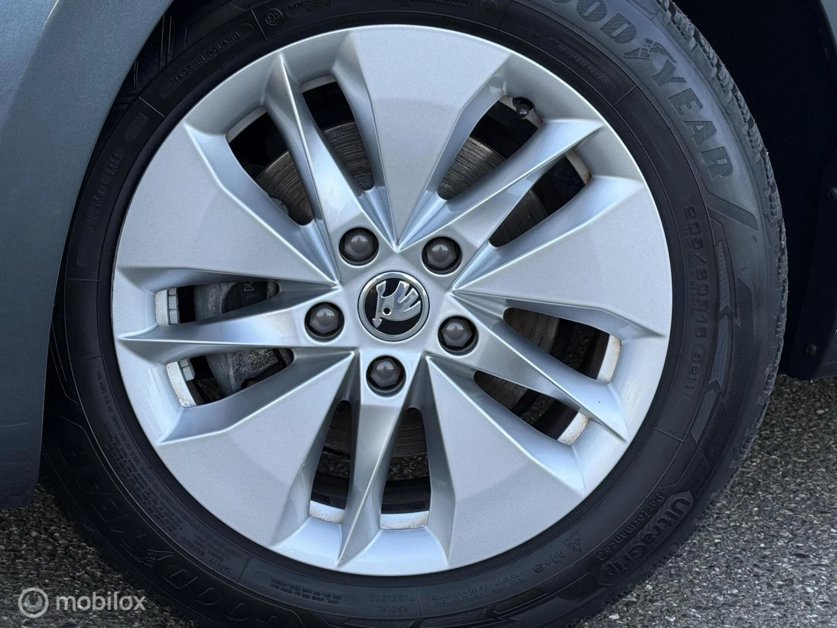 Hoofdafbeelding Škoda Octavia