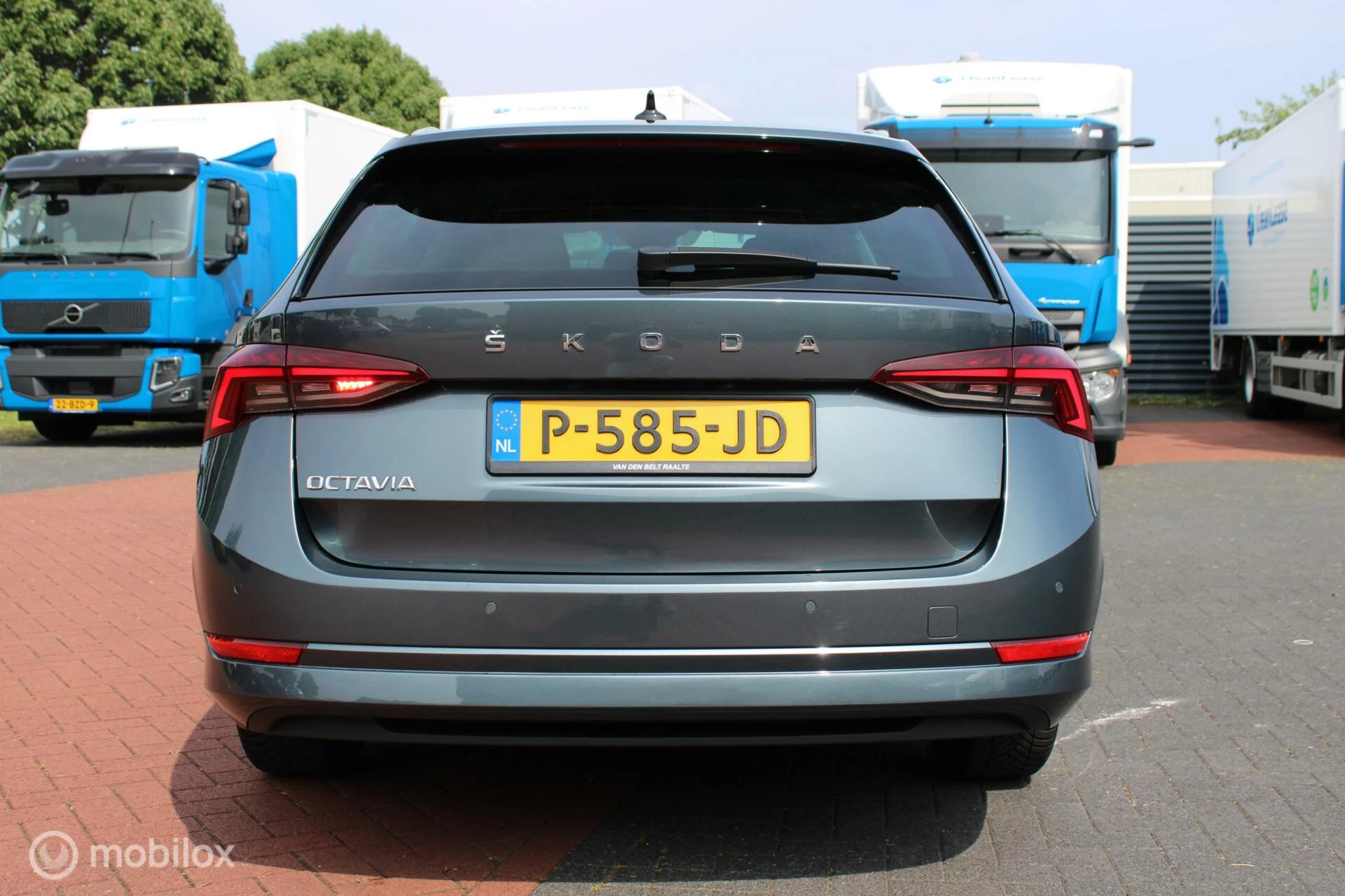 Hoofdafbeelding Škoda Octavia