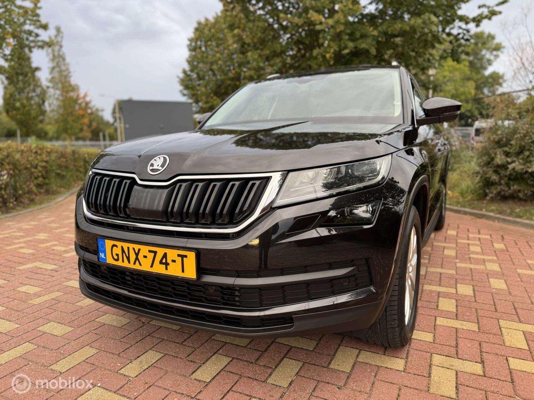 Hoofdafbeelding Škoda Kodiaq