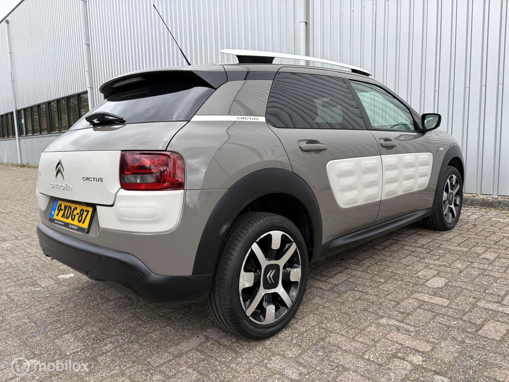Hoofdafbeelding Citroën C4 Cactus
