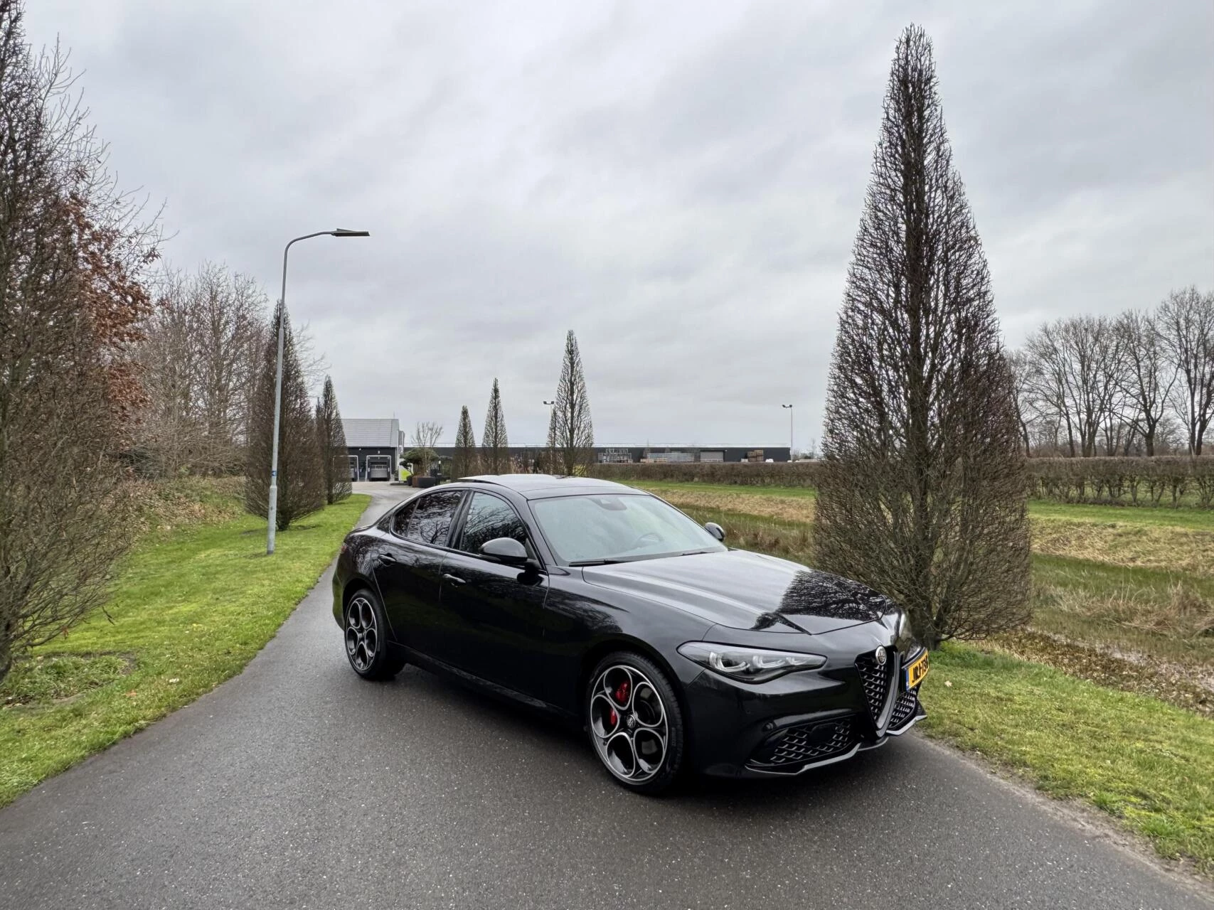 Hoofdafbeelding Alfa Romeo Giulia