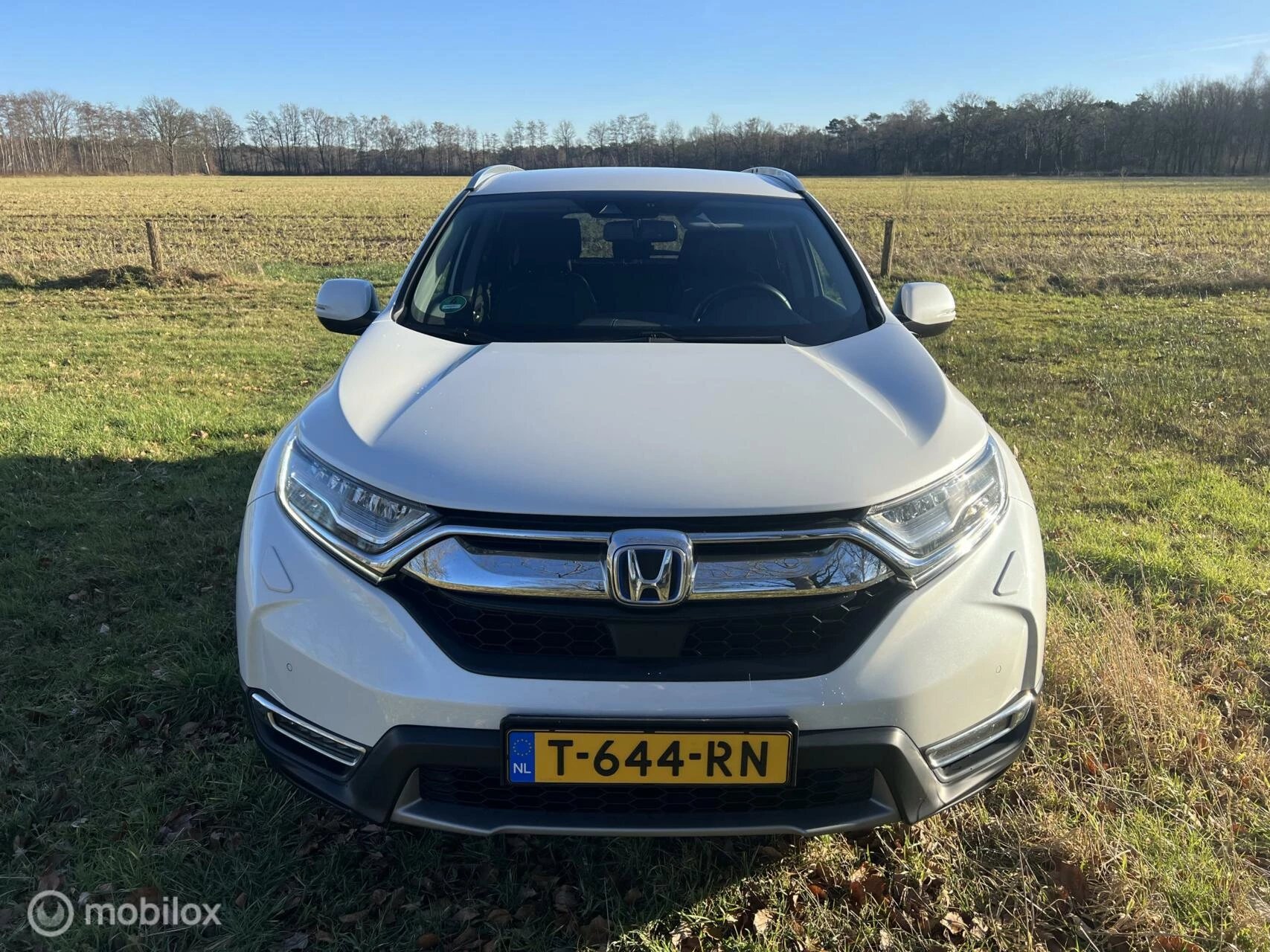 Hoofdafbeelding Honda CR-V