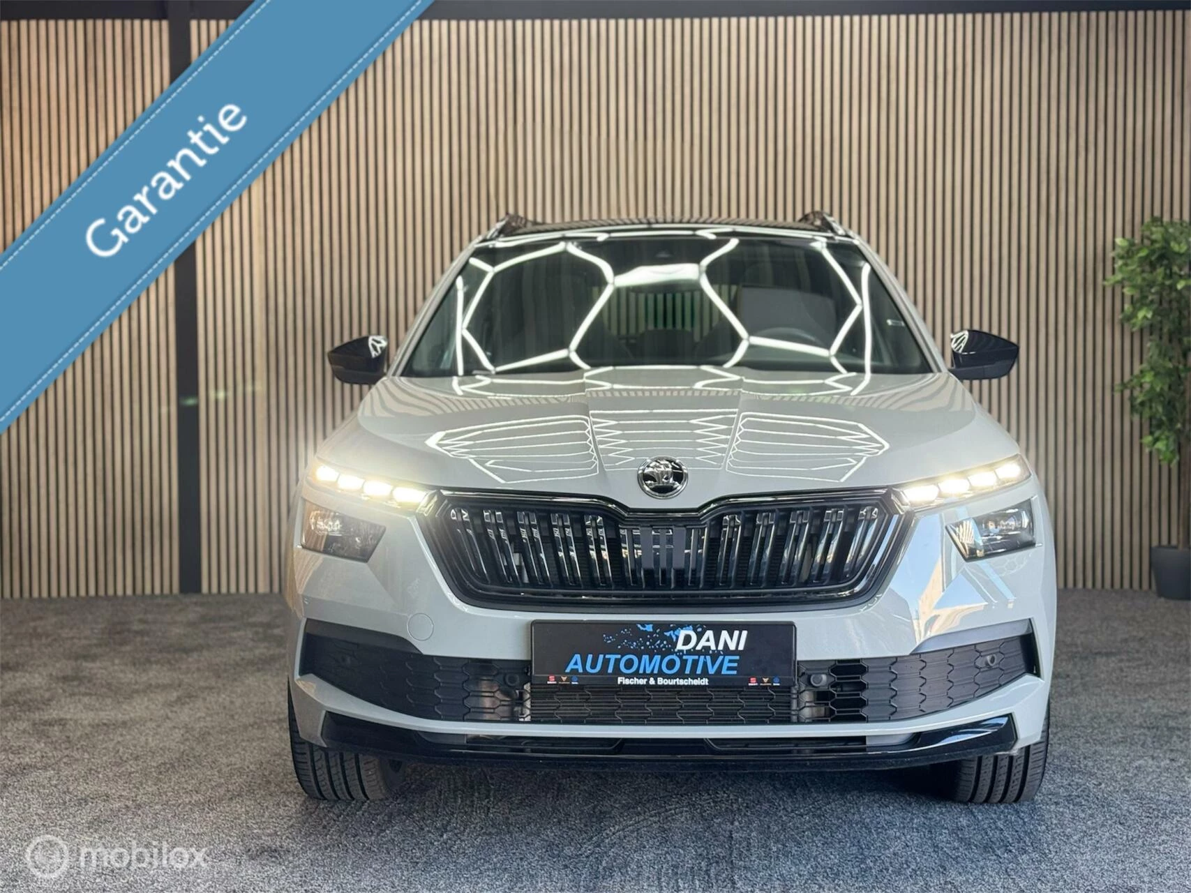 Hoofdafbeelding Škoda Kamiq