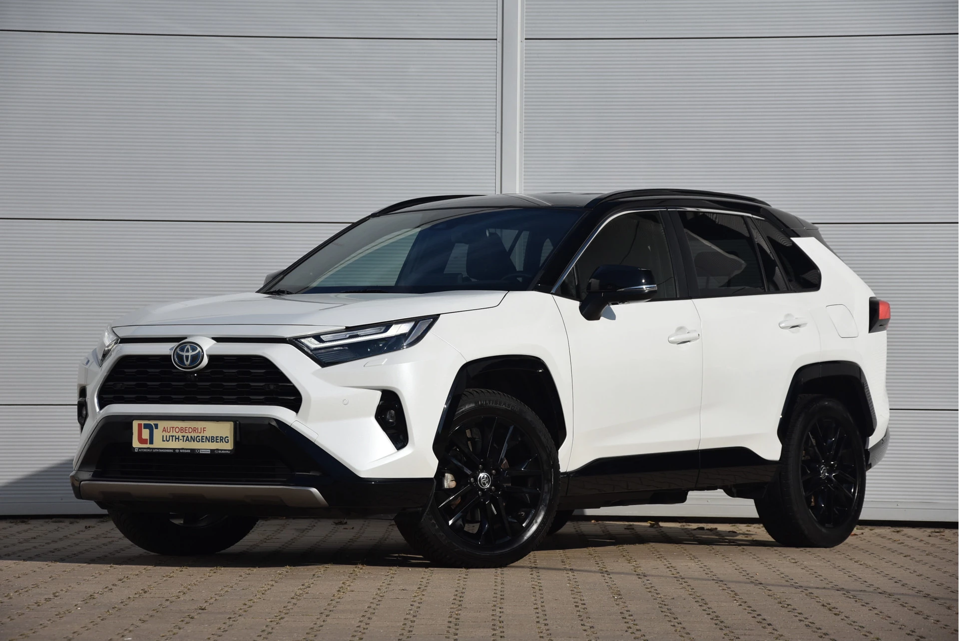 Hoofdafbeelding Toyota RAV4