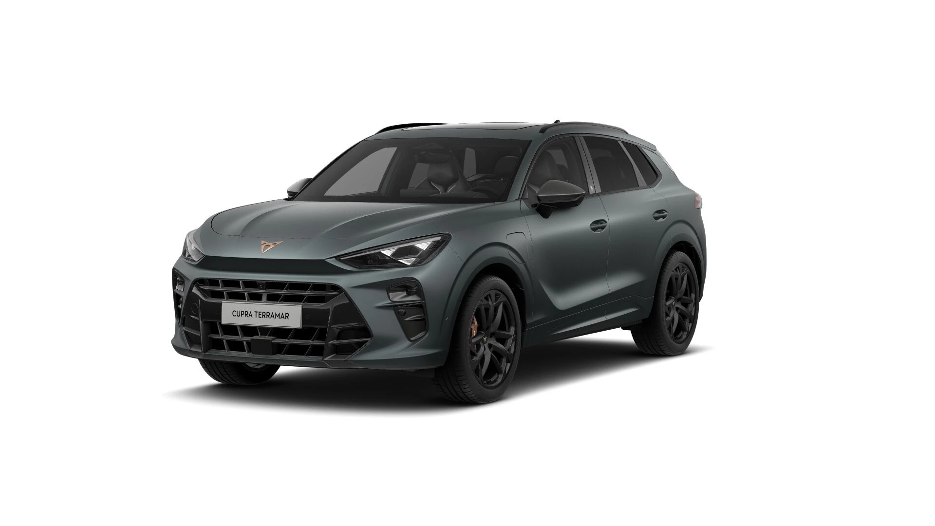 Hoofdafbeelding CUPRA Terramar
