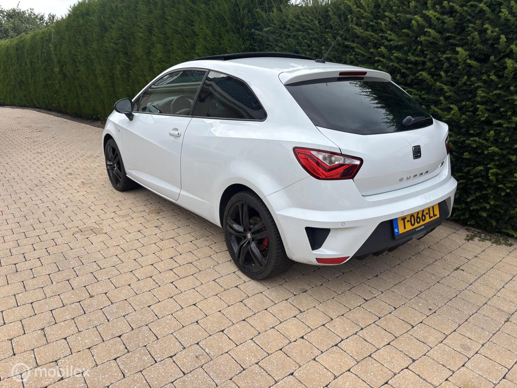 Hoofdafbeelding SEAT Ibiza