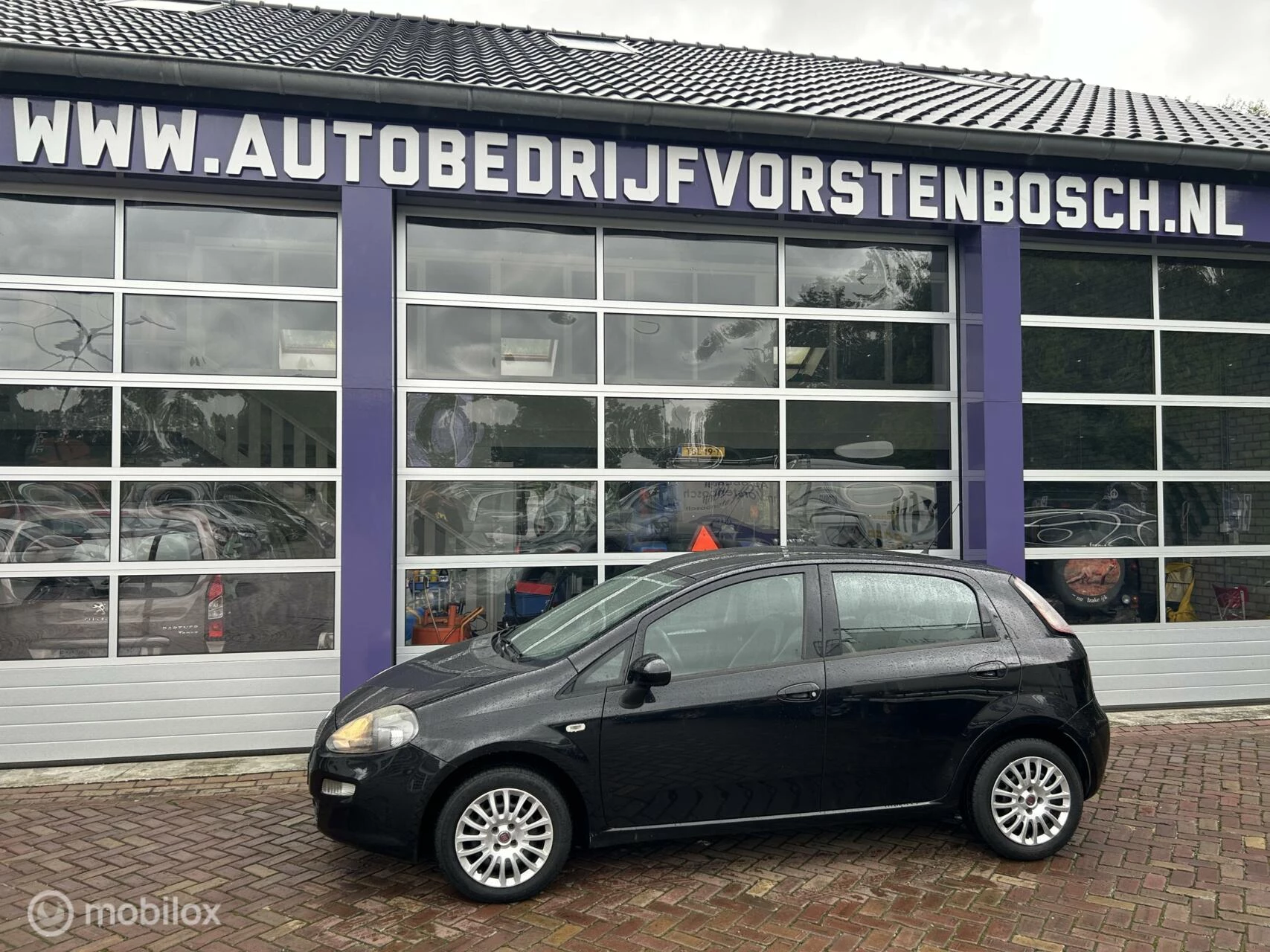 Hoofdafbeelding Fiat Punto