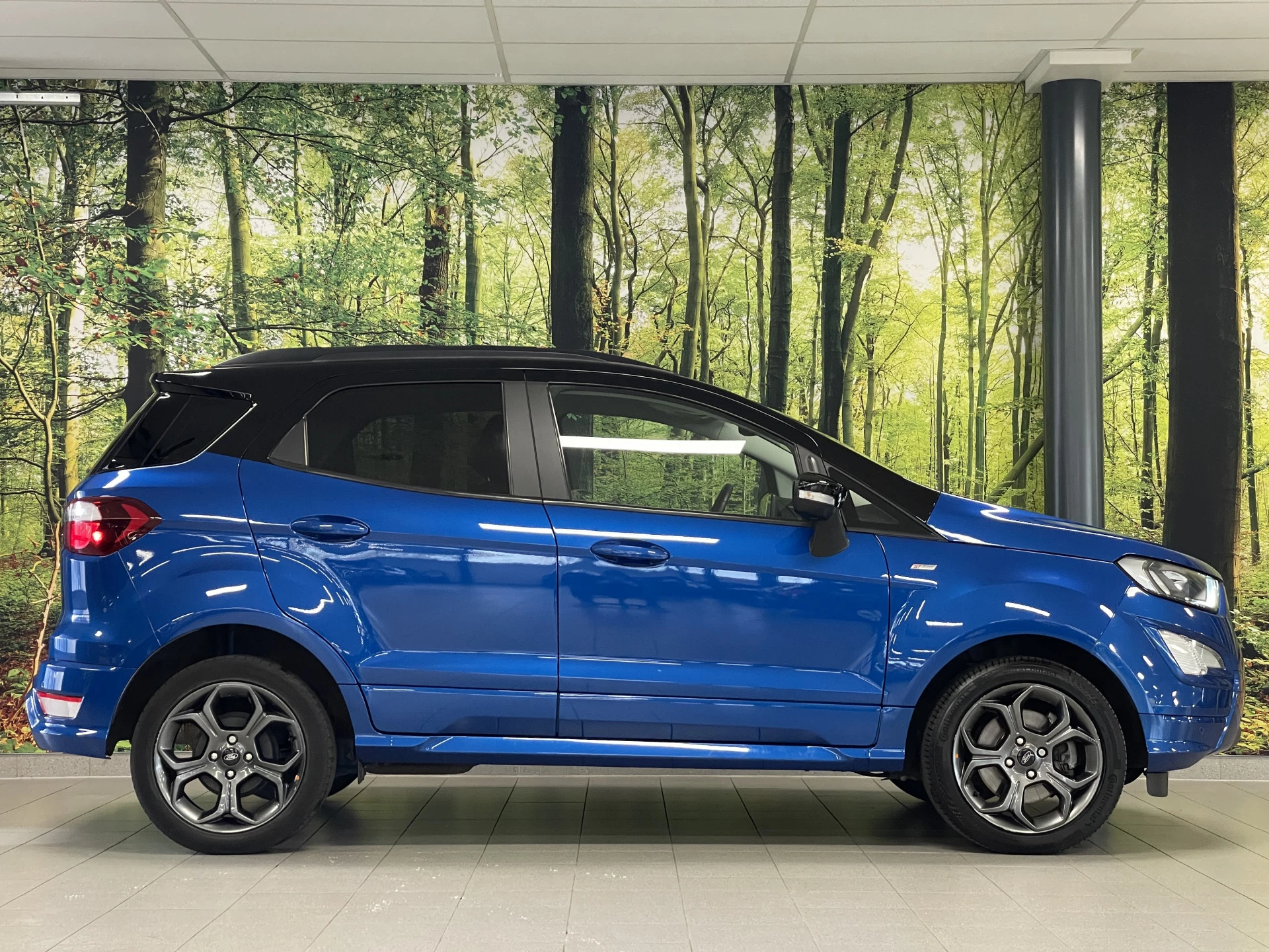 Hoofdafbeelding Ford EcoSport