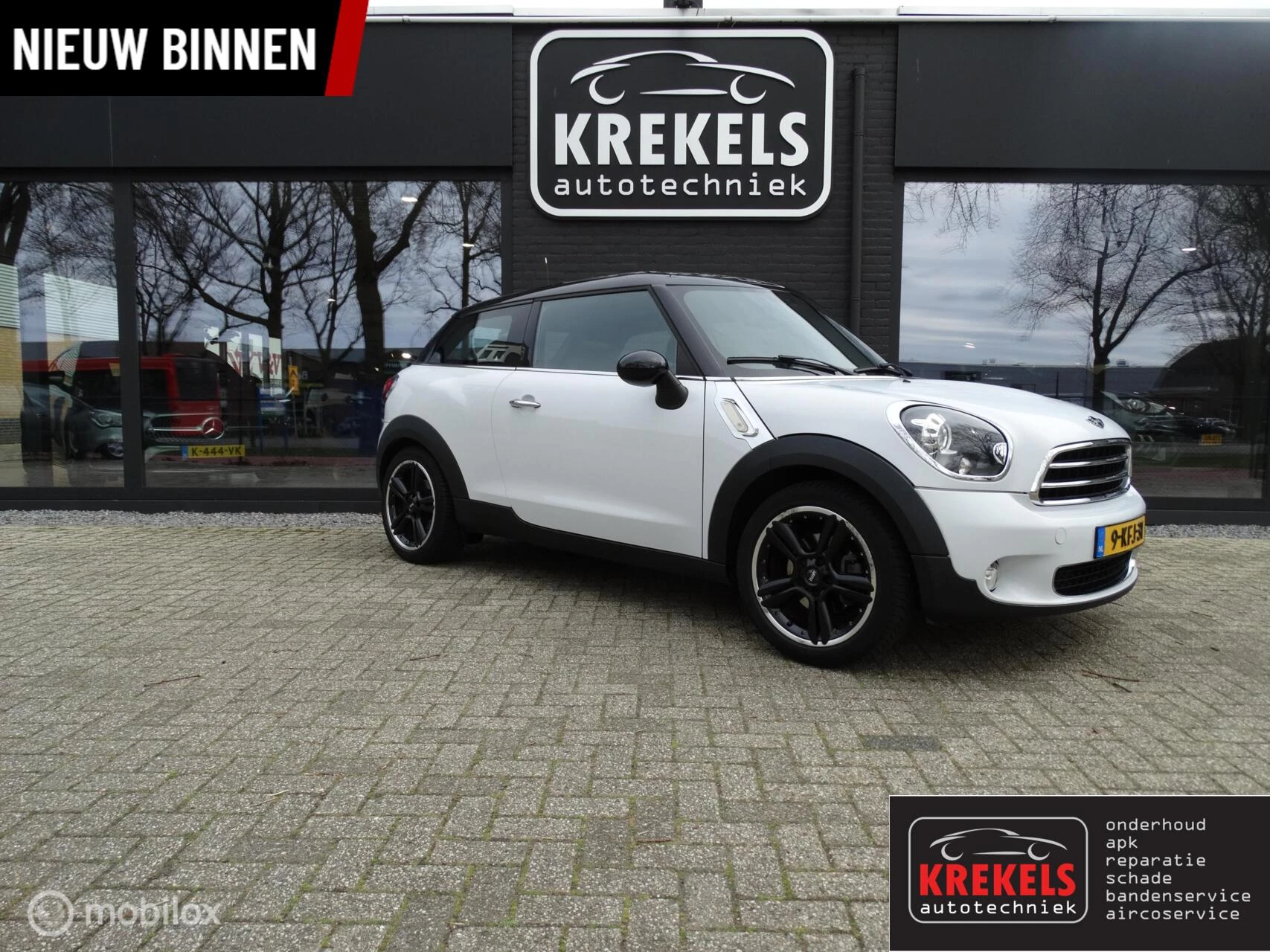 Hoofdafbeelding MINI Paceman