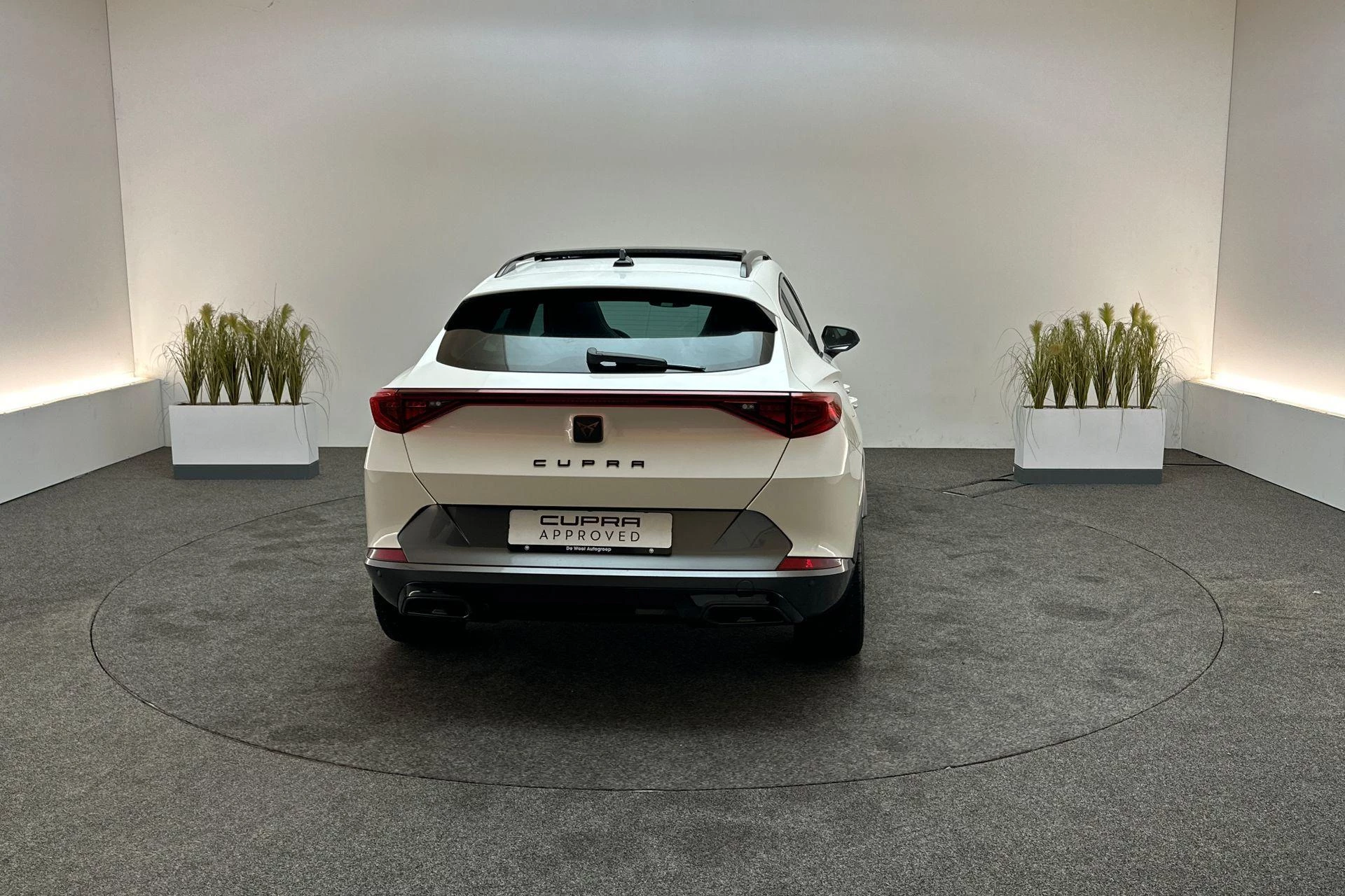 Hoofdafbeelding CUPRA Formentor