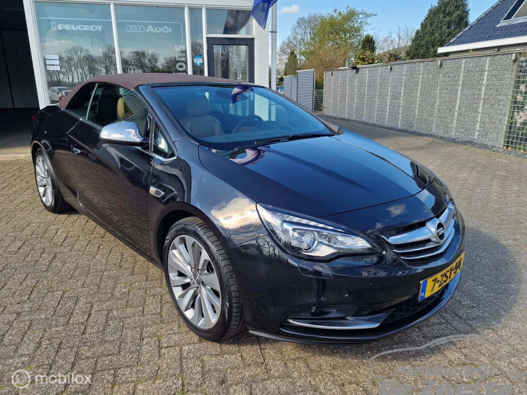 Hoofdafbeelding Opel Cascada