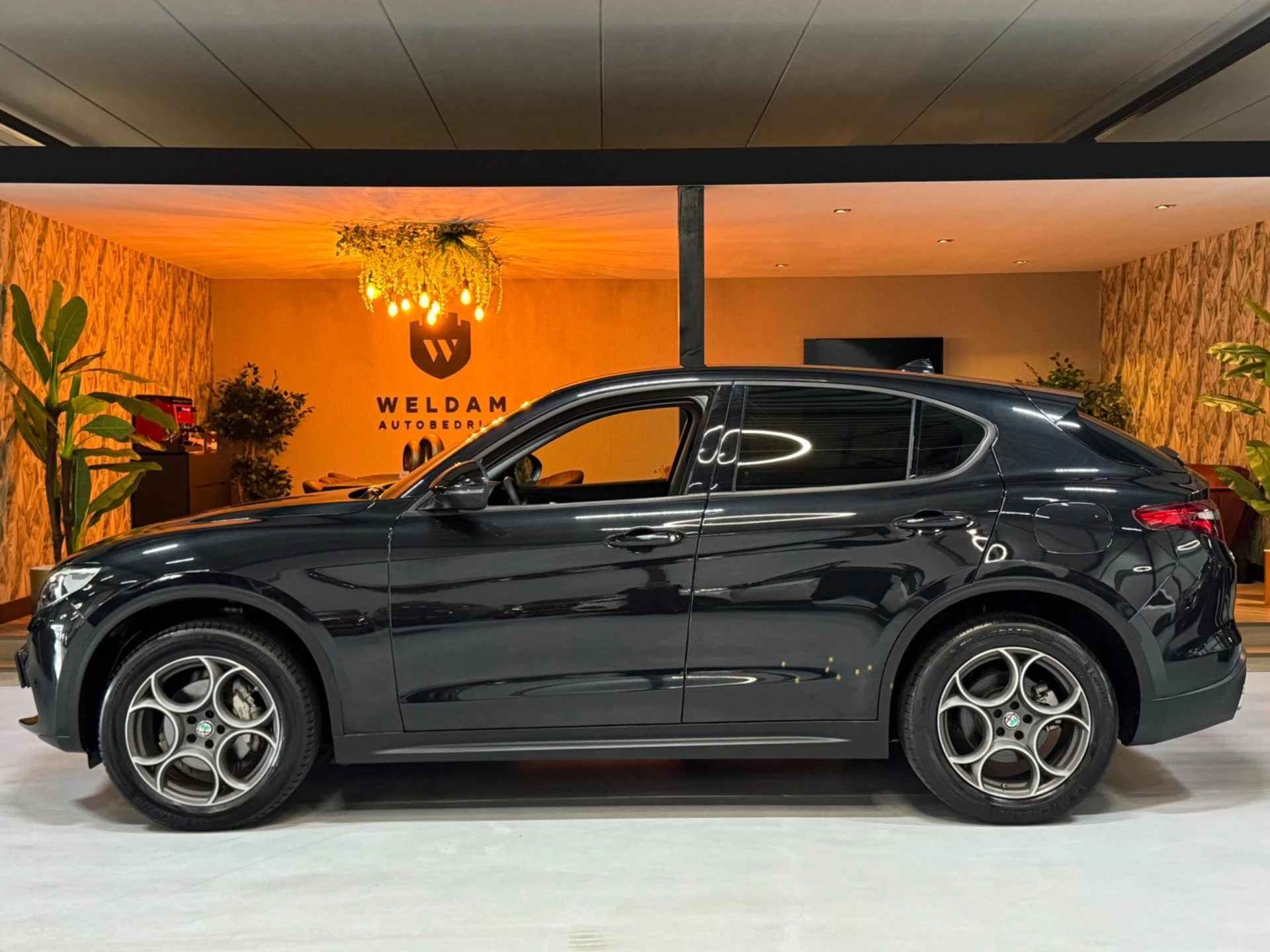 Hoofdafbeelding Alfa Romeo Stelvio