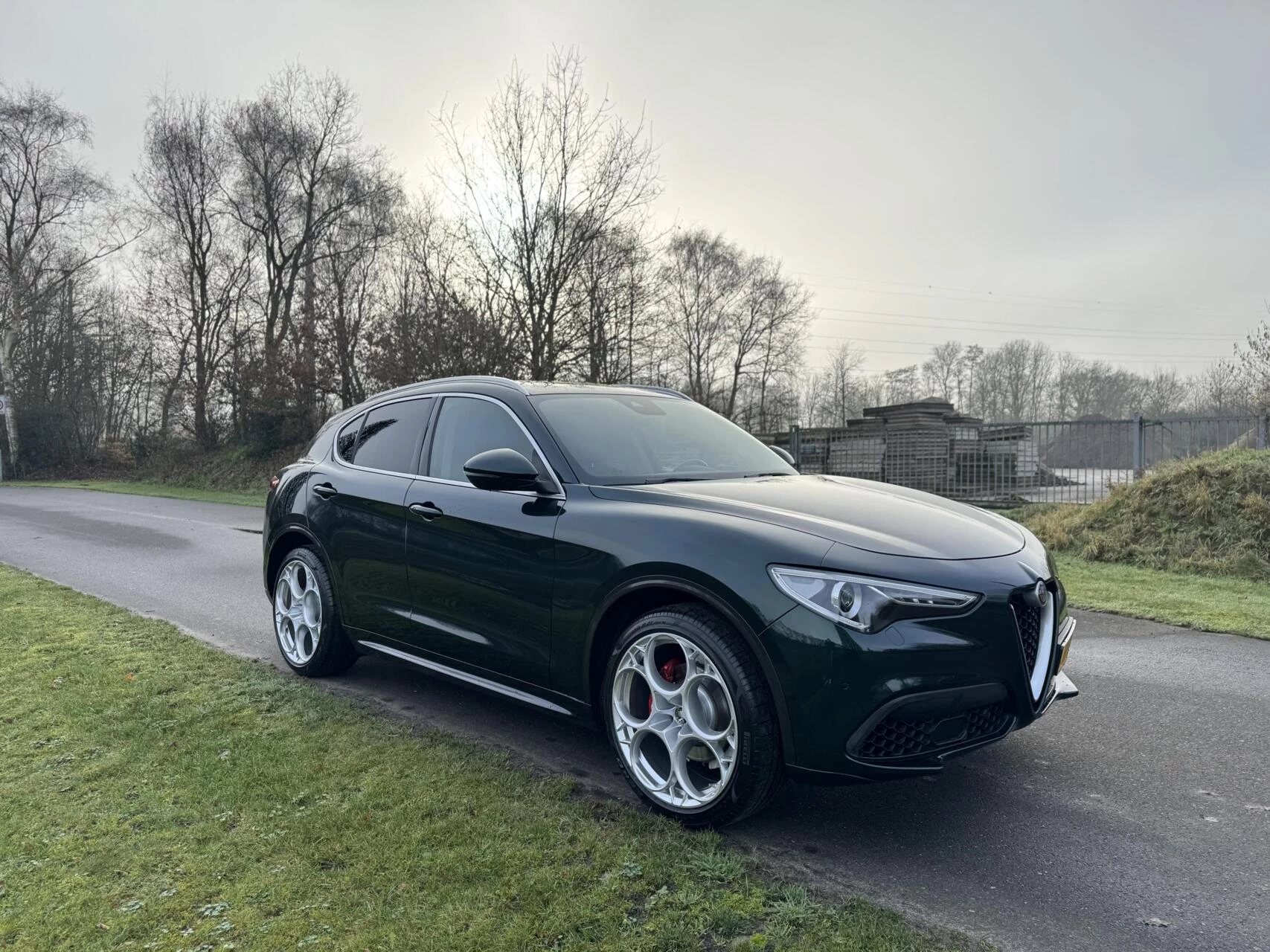 Hoofdafbeelding Alfa Romeo Stelvio