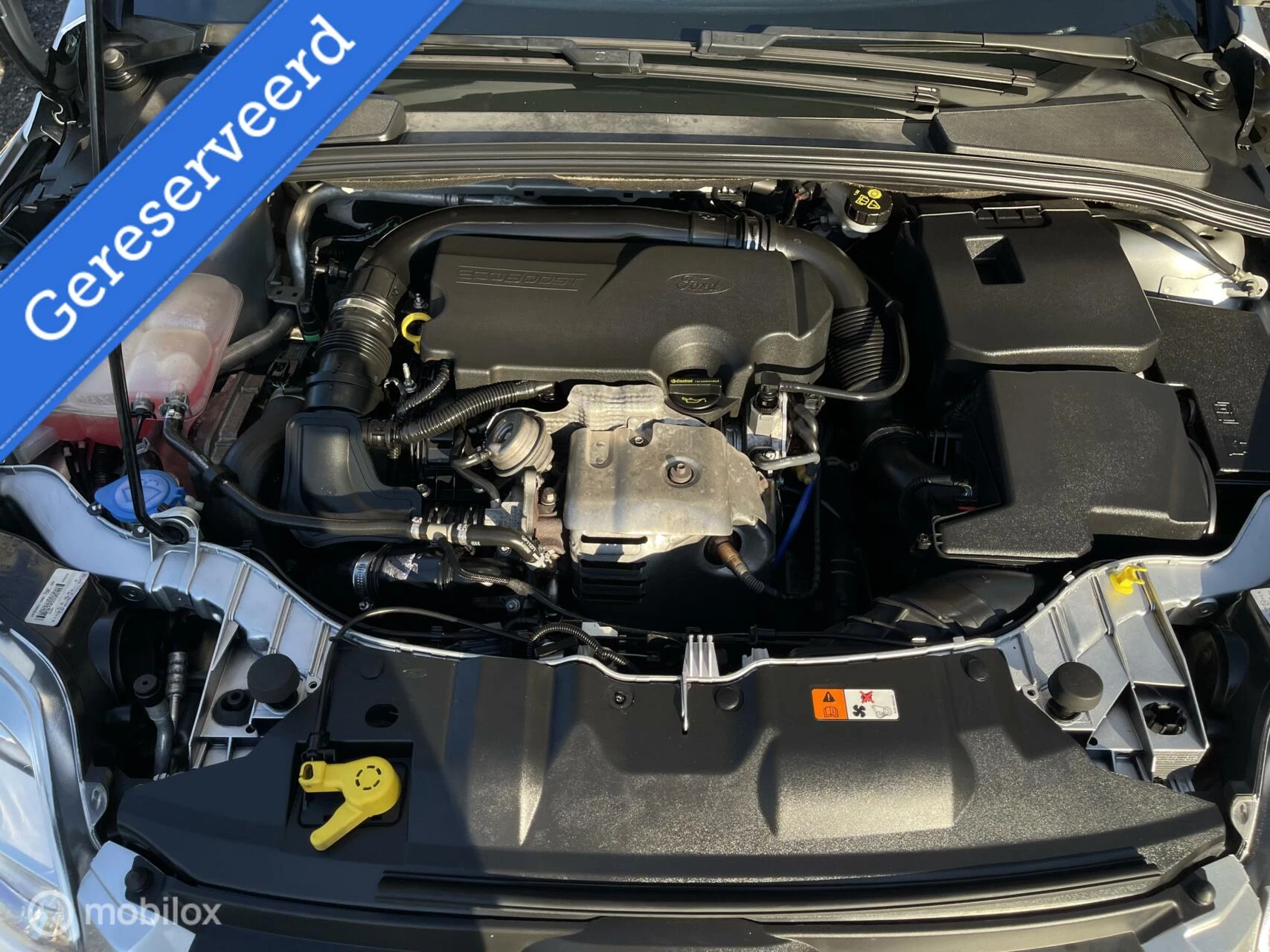 Hoofdafbeelding Ford Focus