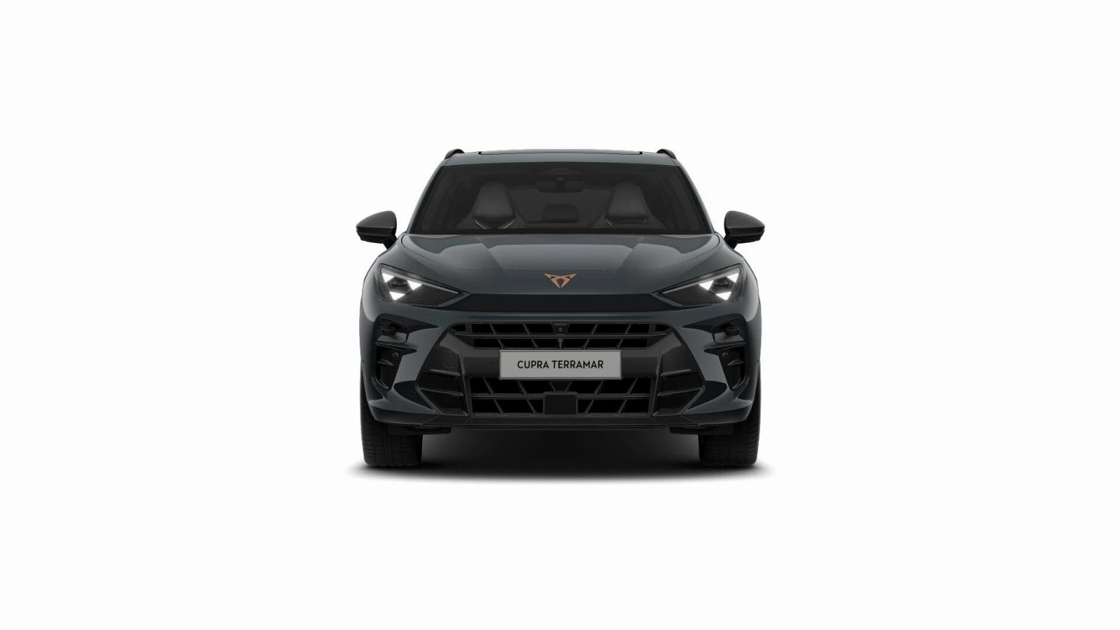 Hoofdafbeelding CUPRA Terramar