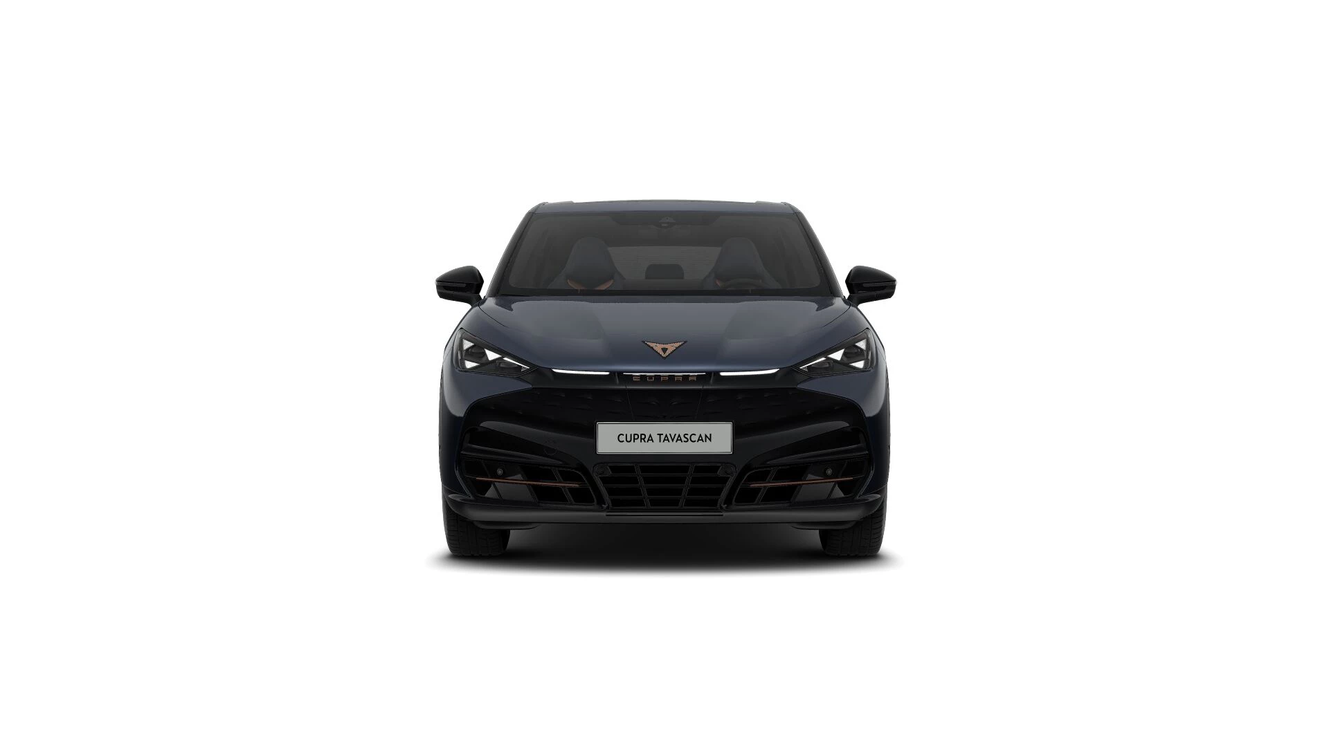 Hoofdafbeelding CUPRA Tavascan