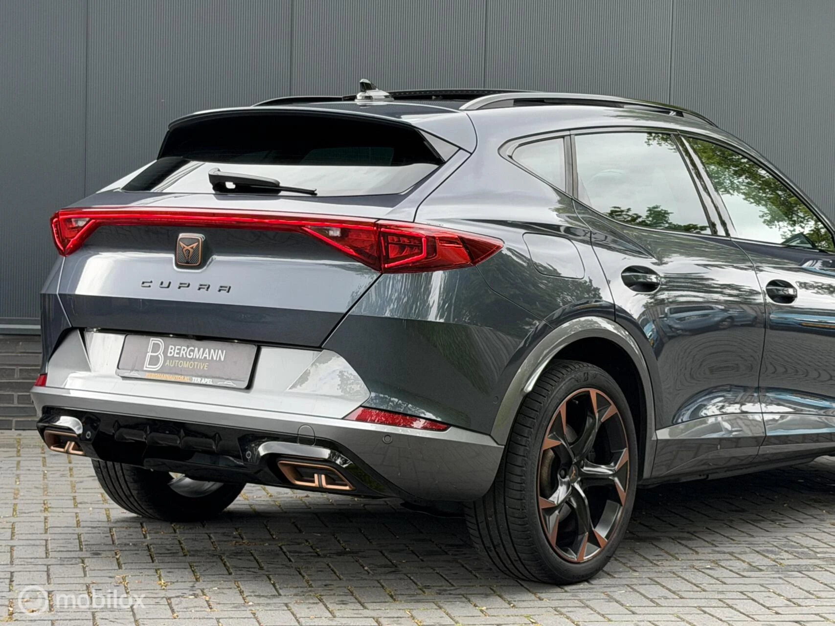 Hoofdafbeelding CUPRA Formentor