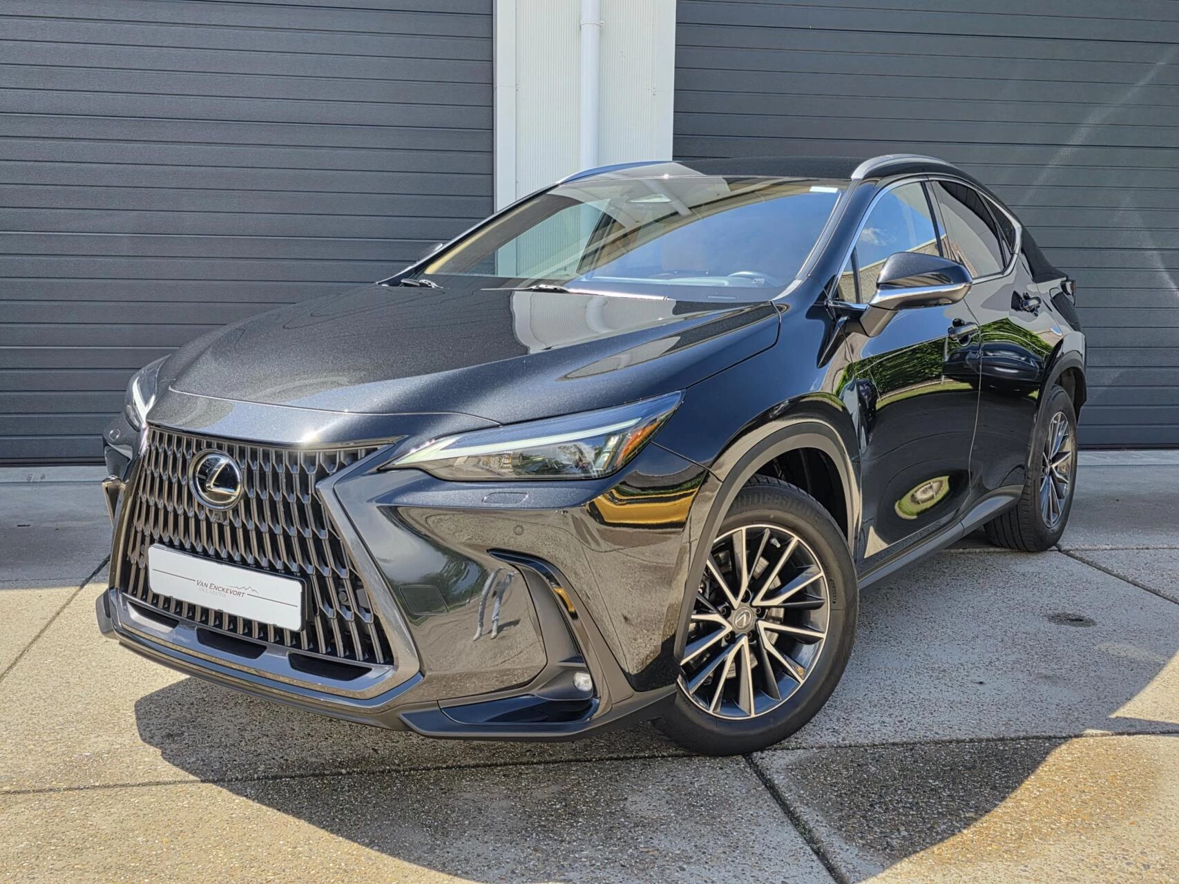 Hoofdafbeelding Lexus NX