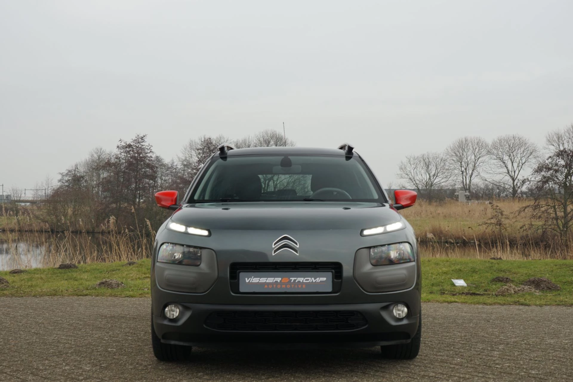 Hoofdafbeelding Citroën C4 Cactus