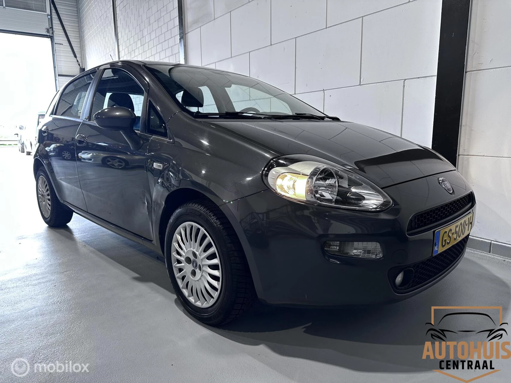 Hoofdafbeelding Fiat Punto
