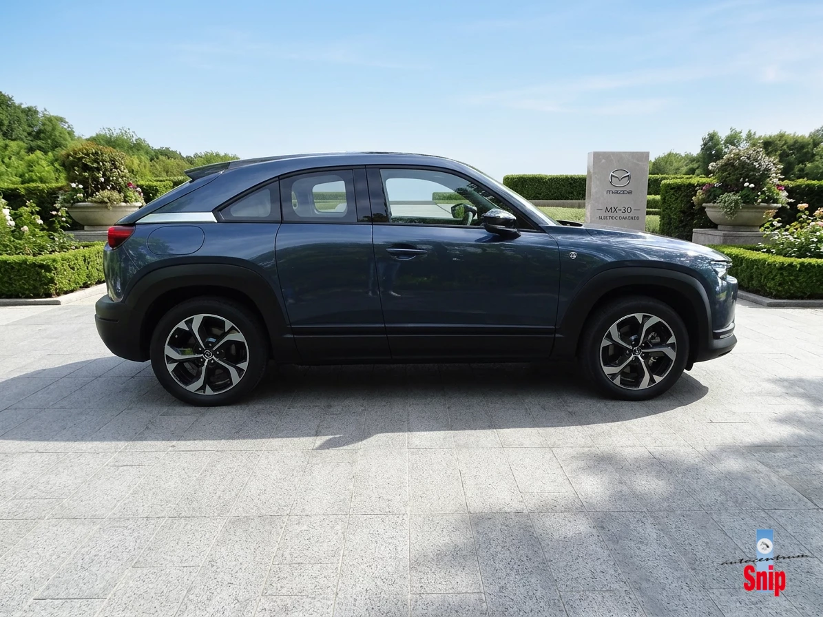Hoofdafbeelding Mazda MX-30
