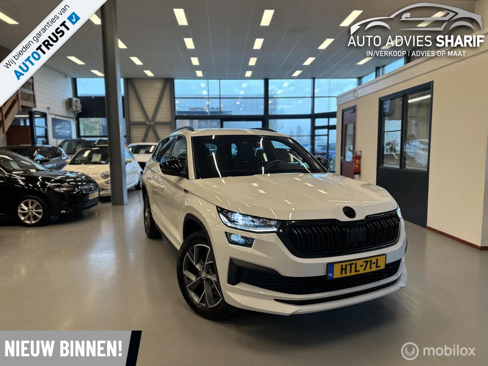 Hoofdafbeelding Škoda Kodiaq