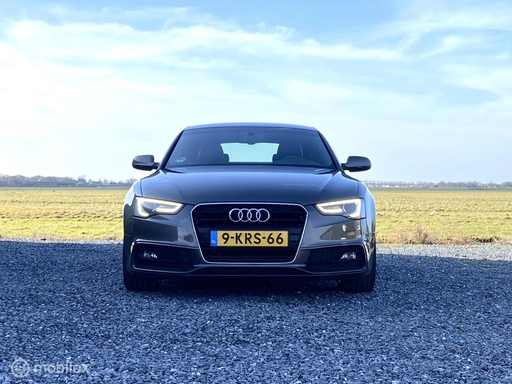 Hoofdafbeelding Audi A5