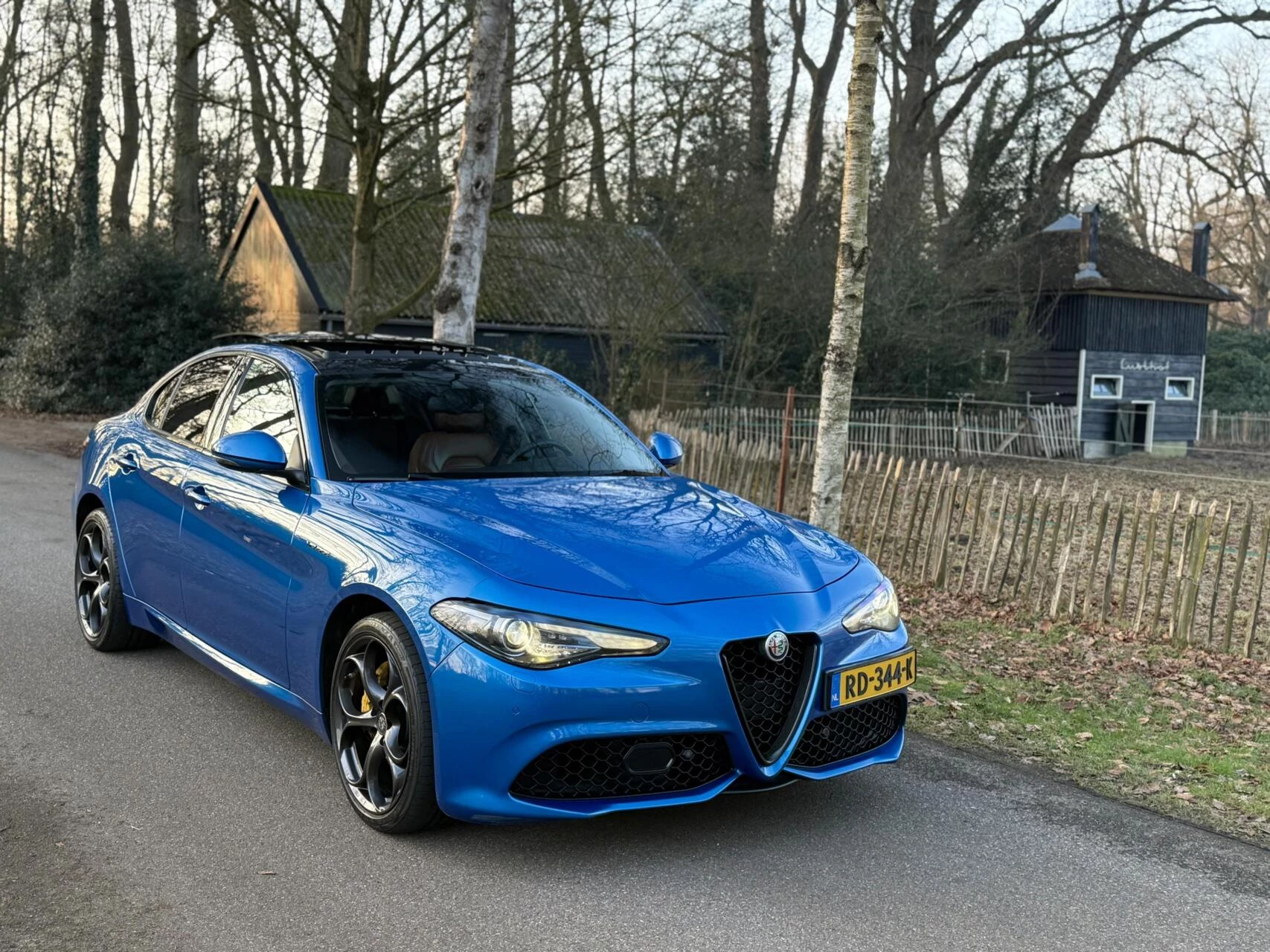 Hoofdafbeelding Alfa Romeo Giulia