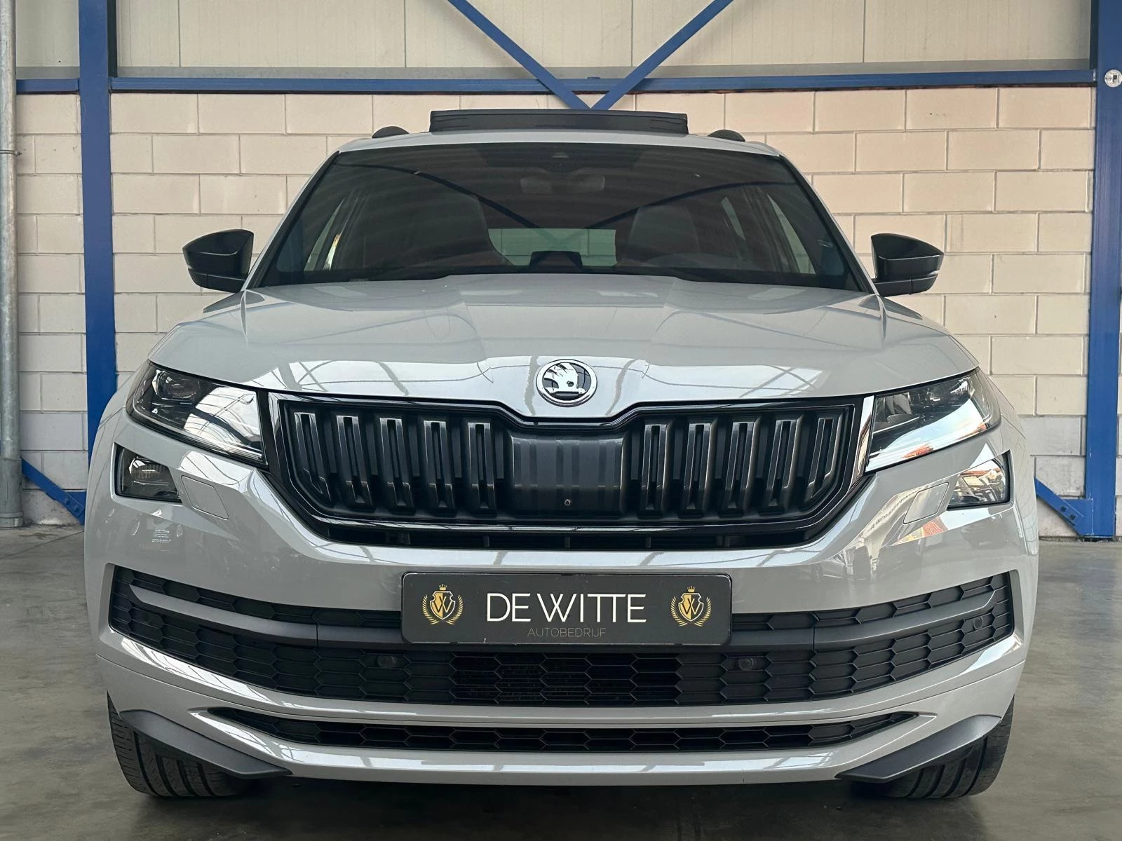Hoofdafbeelding Škoda Kodiaq