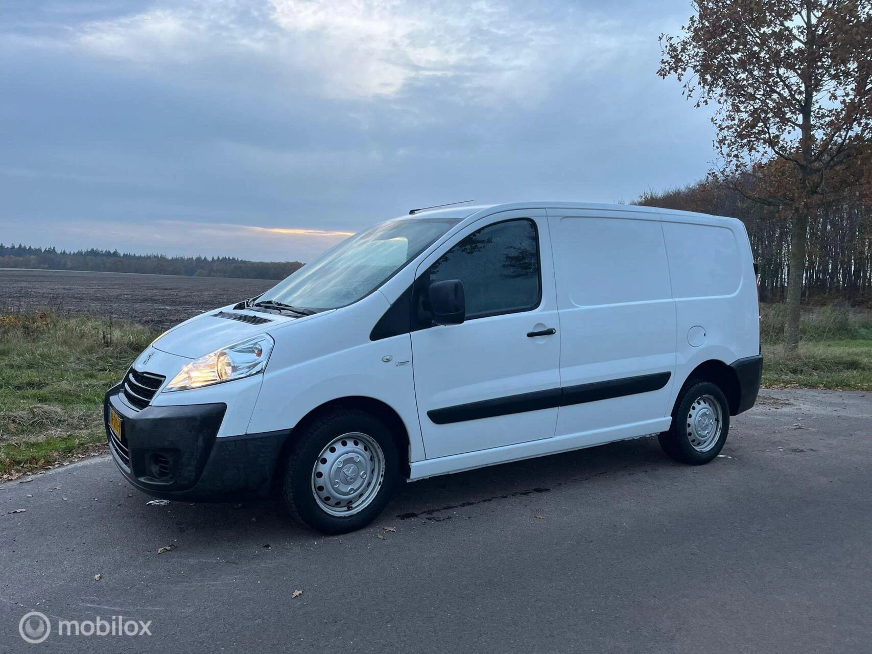 Hoofdafbeelding Peugeot Expert