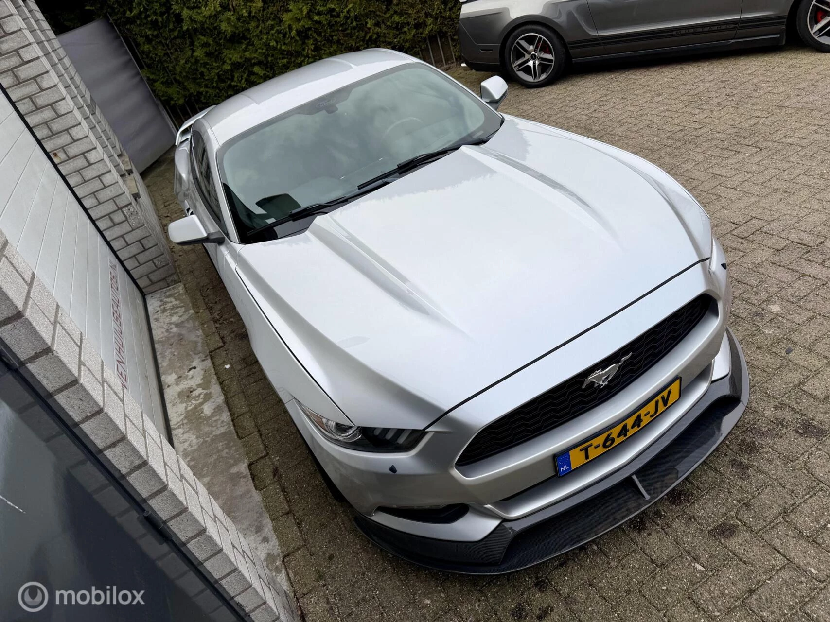 Hoofdafbeelding Ford Mustang