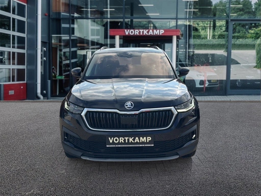 Hoofdafbeelding Škoda Kodiaq