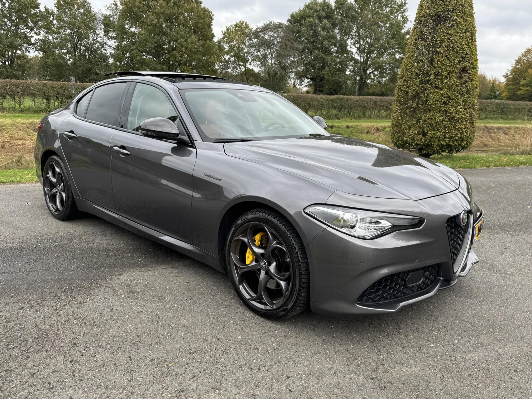 Hoofdafbeelding Alfa Romeo Giulia