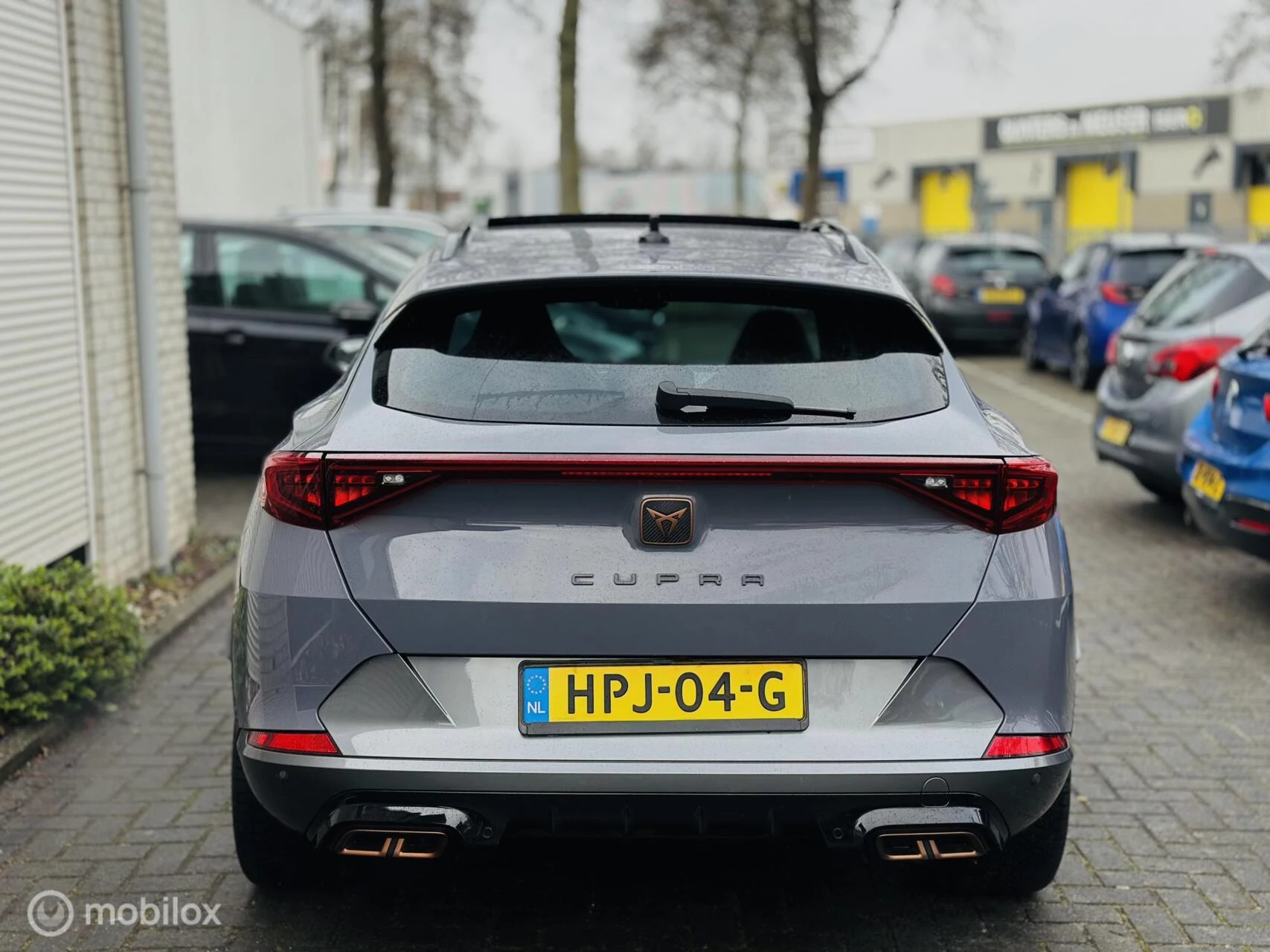 Hoofdafbeelding CUPRA Formentor