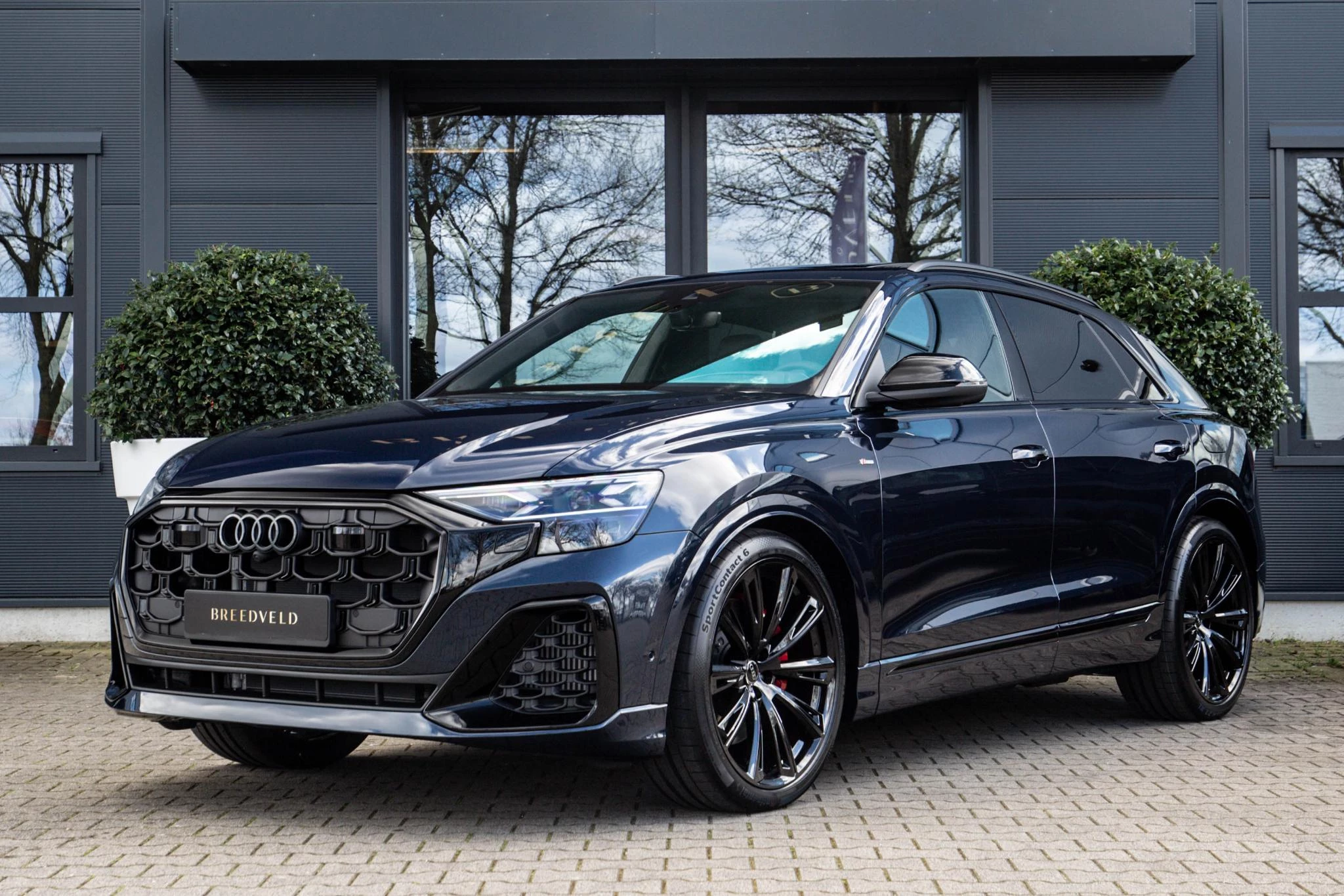 Hoofdafbeelding Audi Q8