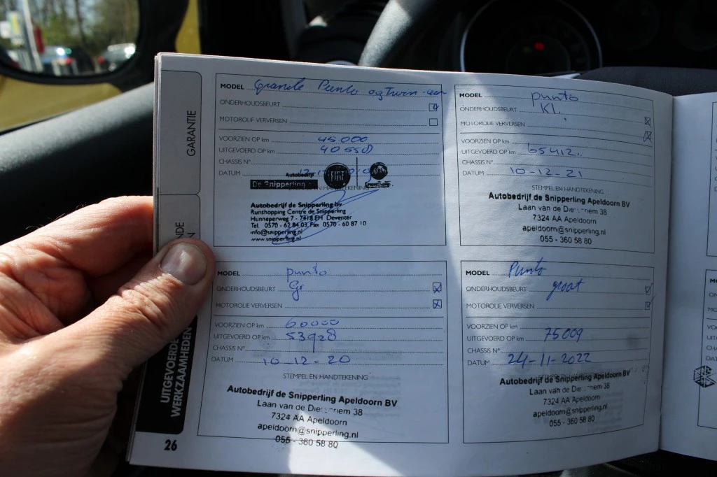 Hoofdafbeelding Fiat Punto