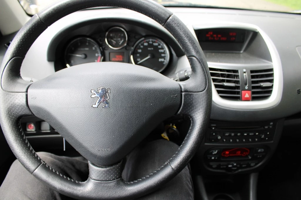 Hoofdafbeelding Peugeot 206