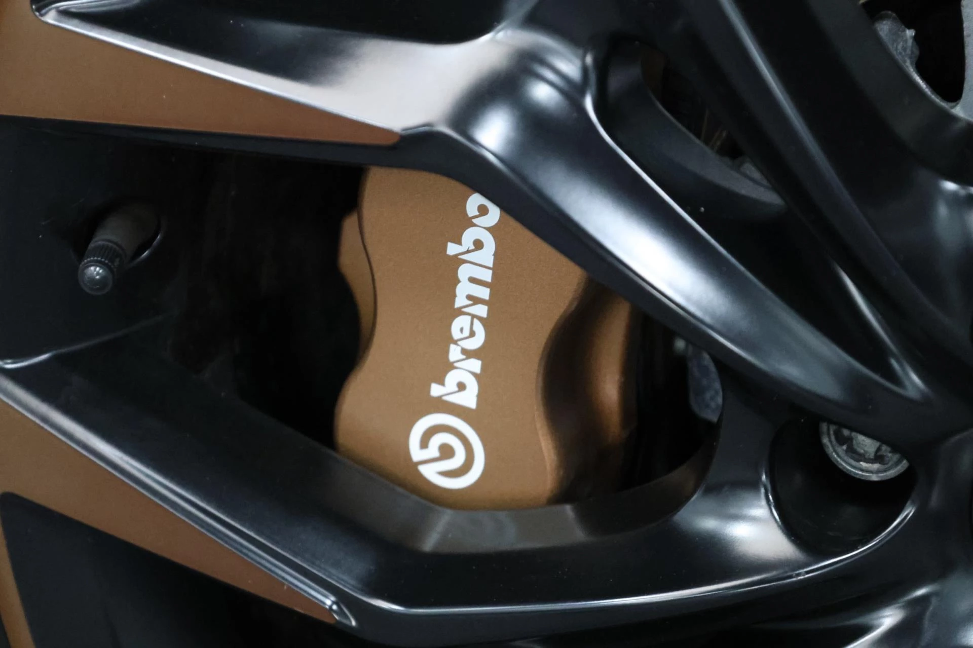 Hoofdafbeelding CUPRA Ateca