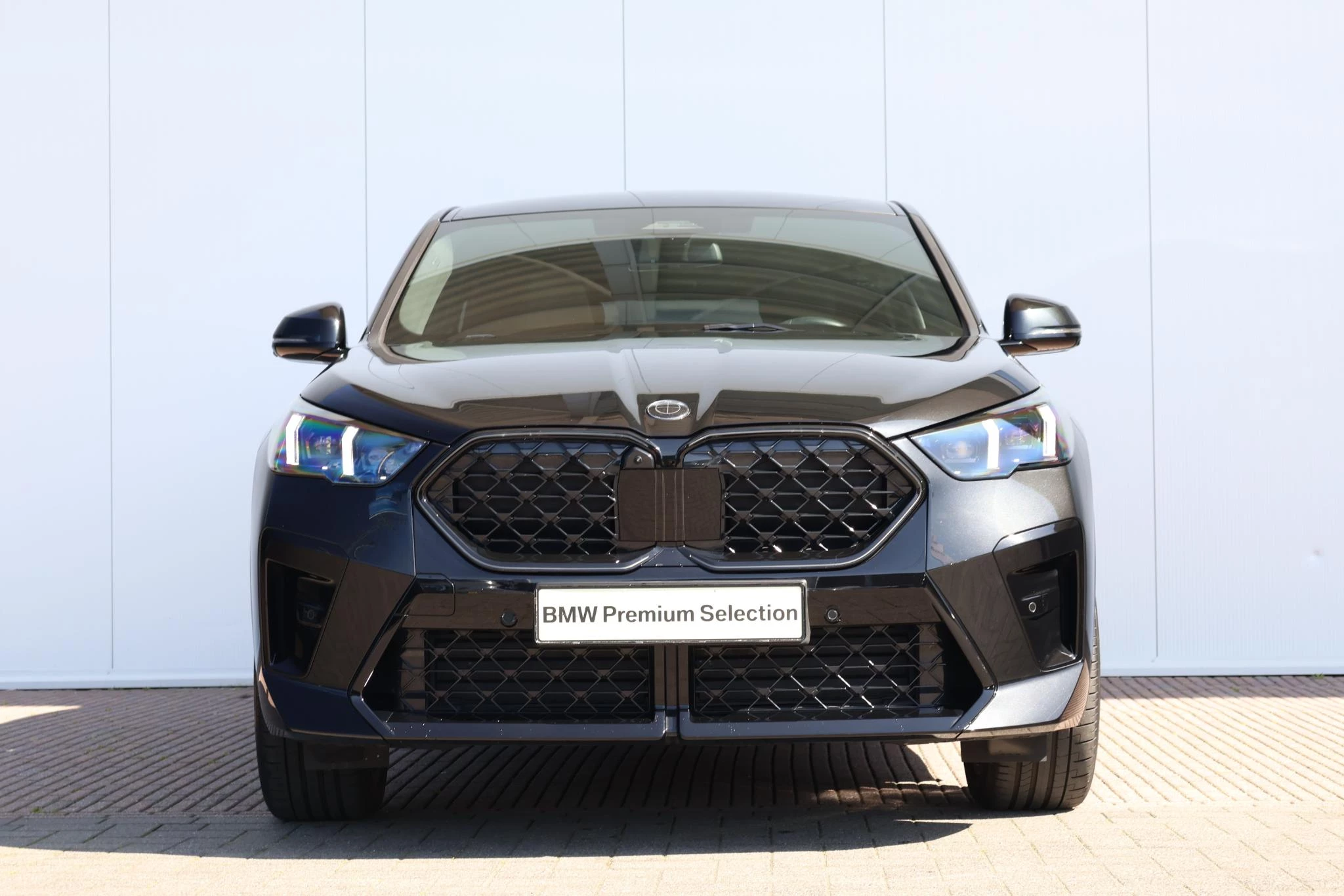 Hoofdafbeelding BMW X2