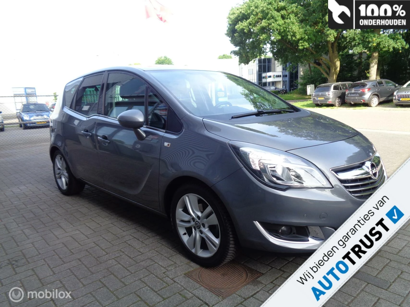 Hoofdafbeelding Opel Meriva