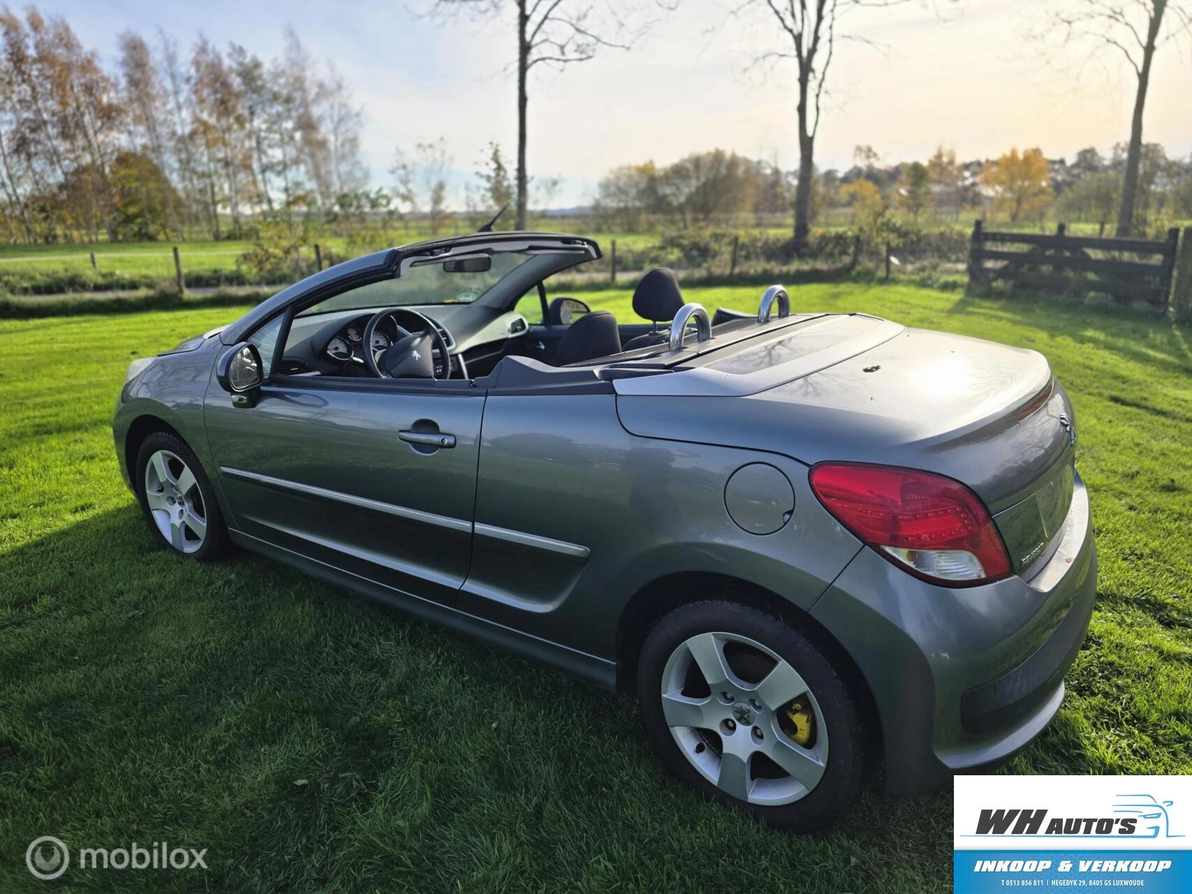 Hoofdafbeelding Peugeot 207