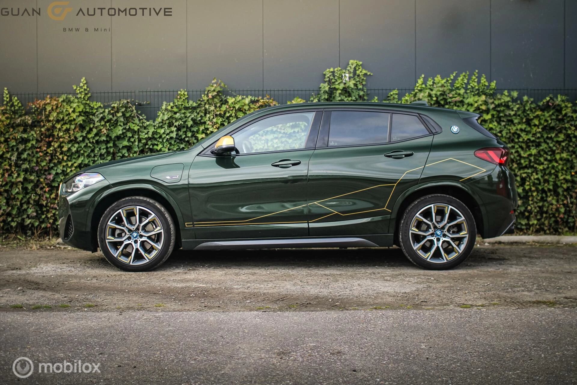 Hoofdafbeelding BMW X2