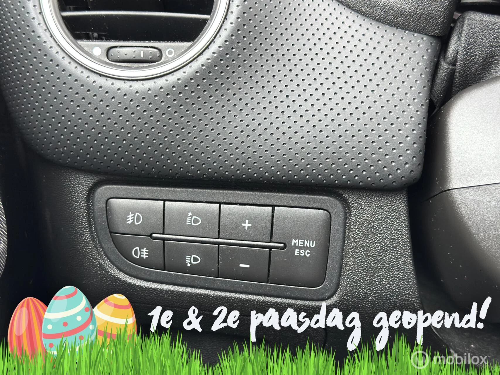 Hoofdafbeelding Fiat Punto