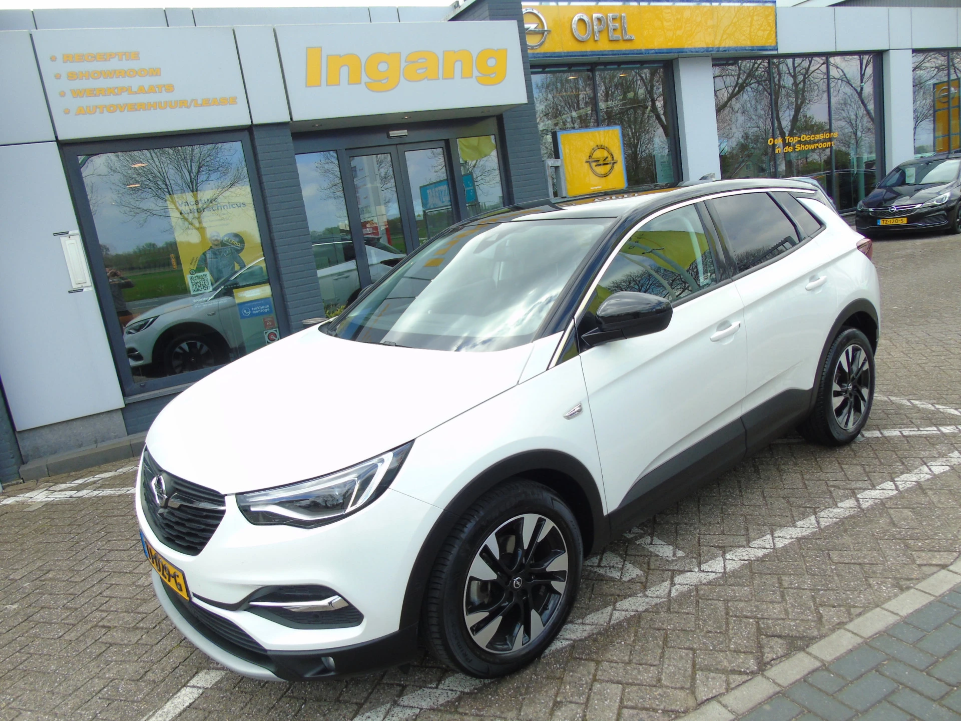 Hoofdafbeelding Opel Grandland X