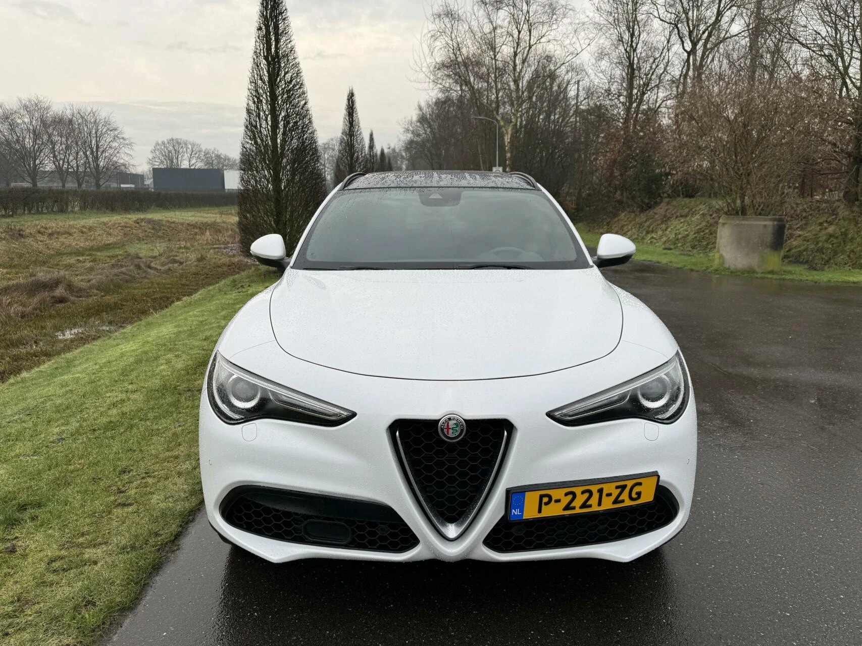 Hoofdafbeelding Alfa Romeo Stelvio