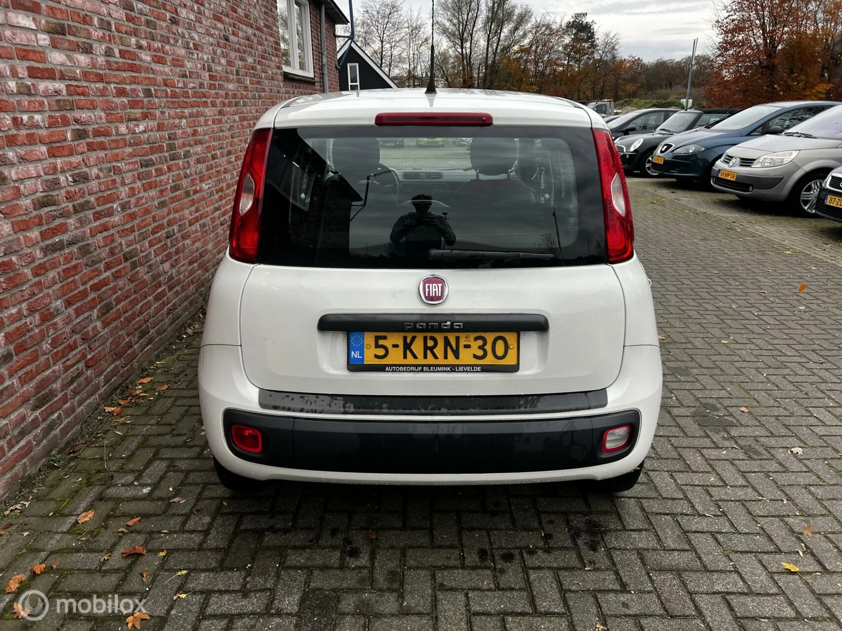 Hoofdafbeelding Fiat Panda