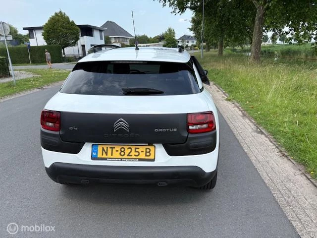 Hoofdafbeelding Citroën C4 Cactus