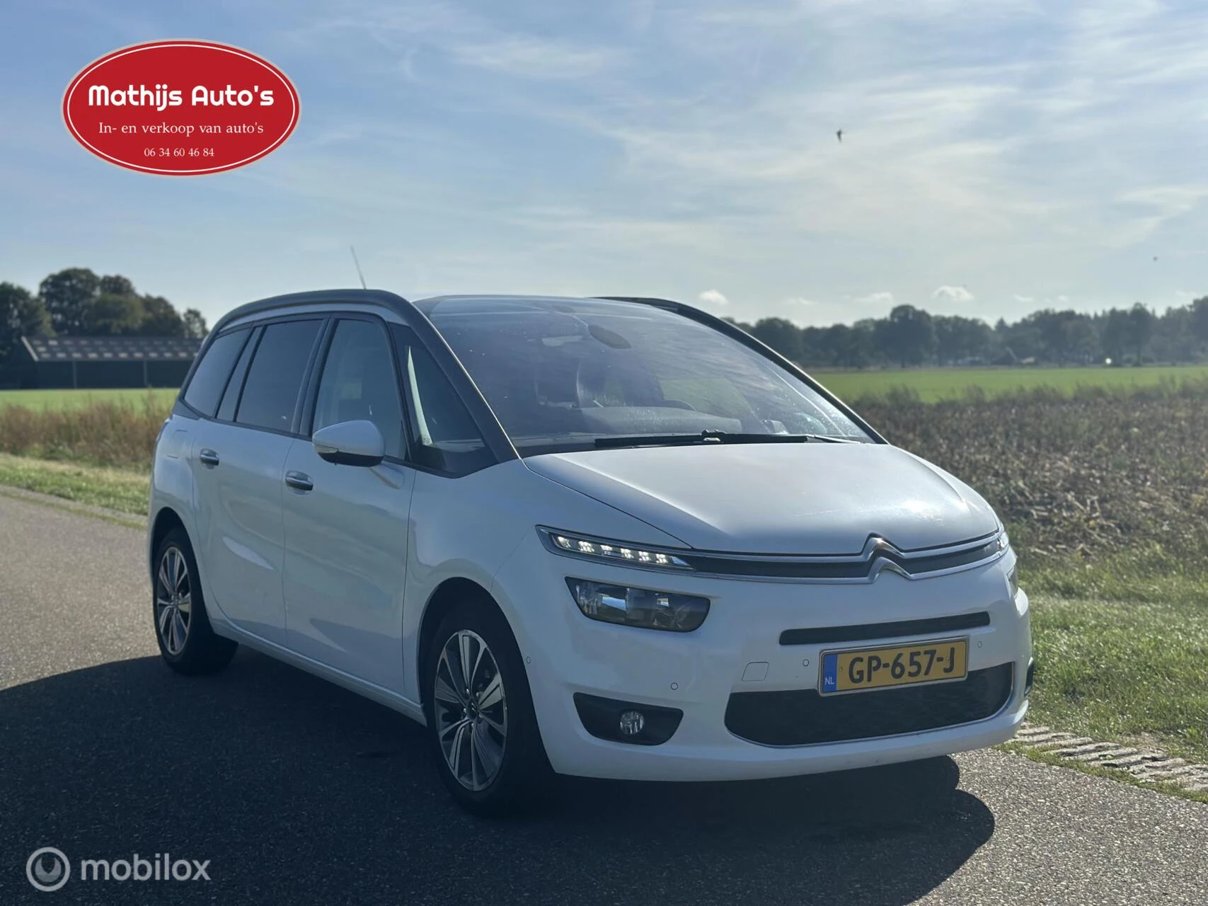 Hoofdafbeelding Citroën Grand C4 Picasso