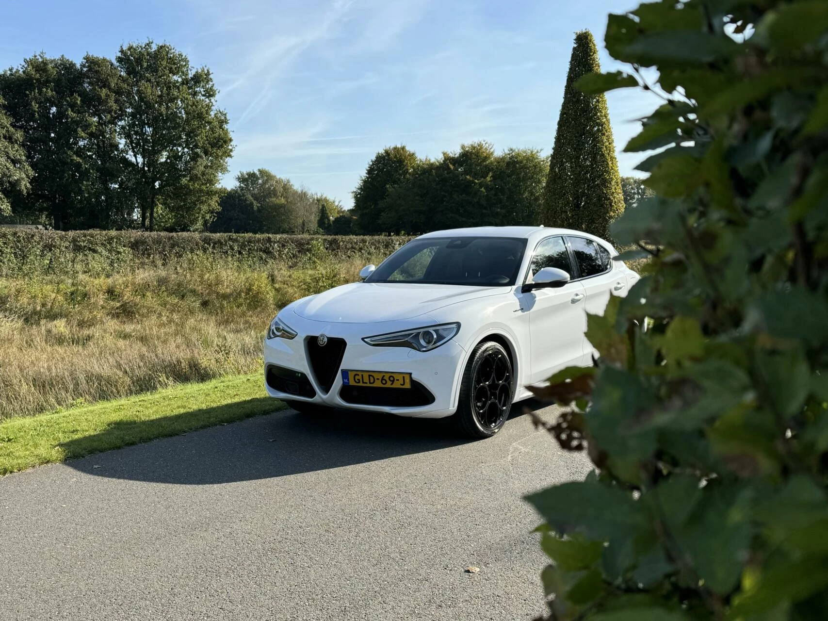 Hoofdafbeelding Alfa Romeo Stelvio