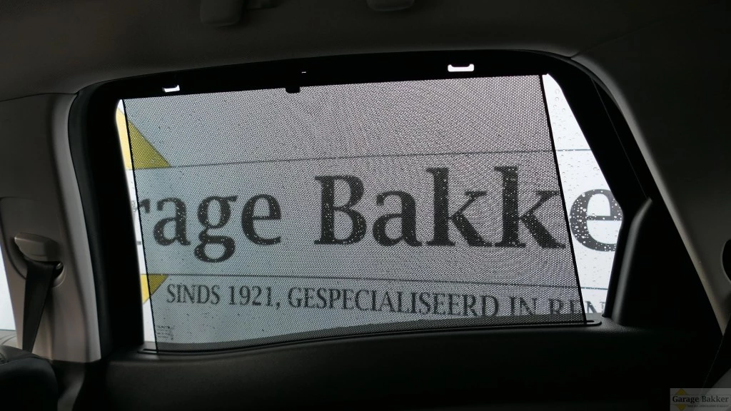 Hoofdafbeelding Renault Scénic